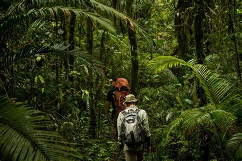 Trekking in Sumatra: The Best Trails and Conservation Tours for Eco ... - balustradellc