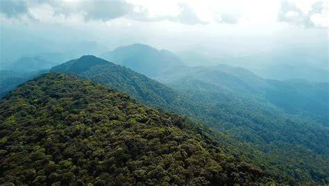 Trekking the NEPL Cloud Forest Challenge - Laos Tour 9 Days - raincitystudios.com