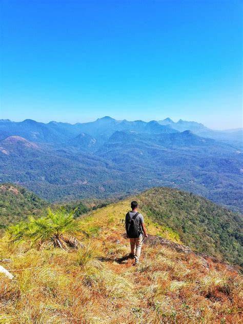 Trekking Through the Cloud Forests of Ponmudi - Live Kerala - raincitystudios.com