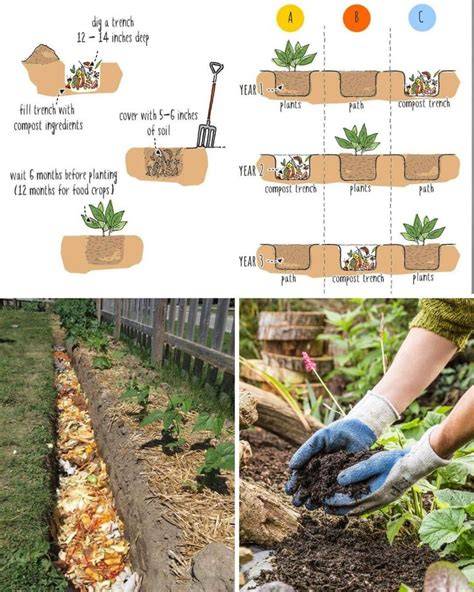 Trench Composting: A Sustainable Gardening Hack - raincitystudios.com
