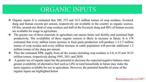 Trends and Impact of Organic Inputs in Floriculture - raincitystudios.com