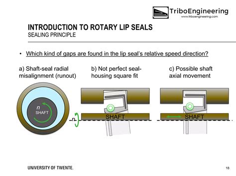 Tribology Analysis Dynamic Simulation Industrial Lip Shaft Seals - wintechmobiles.com