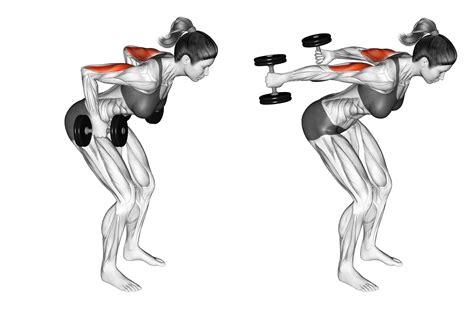 Tricep Kickbacks: How-to, Benefits, and More - balustradellc