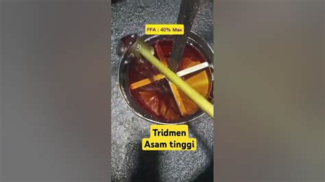 Tridmen - balustradellc