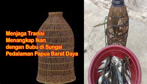 Trik Menangkap Ikan Dengan Bubu - Teknik Menangkap Ikan Tradisional ... - balustradellc