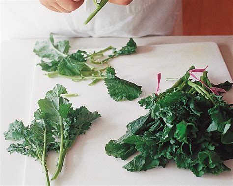 Trimming Broccoli Rabe - Gardening Know How - balustradellc