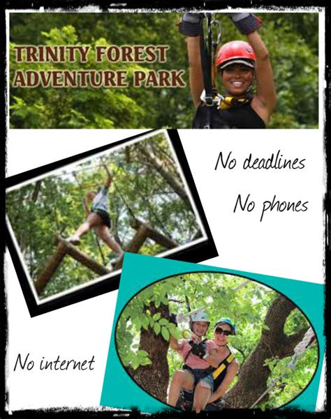 Trinity Forest Adventure Park (2026) - Tripadvisor - raincitystudios.com