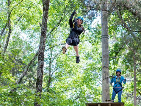 Trinity Forest Adventure Park - Tripadvisor - raincitystudios.com