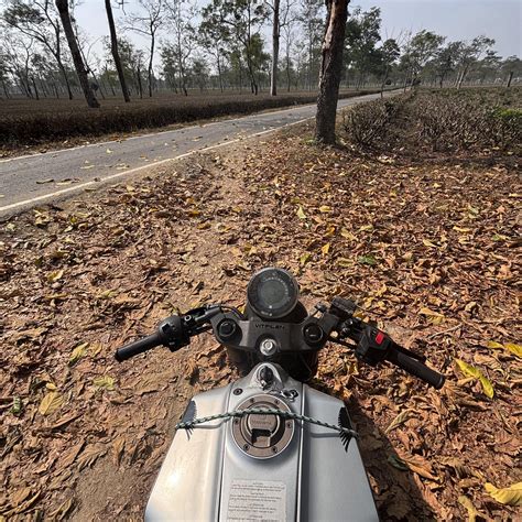 Triple-I Blog | Revealing Hidden Cost</BR>to Consumers of Auto ... - balustradellc