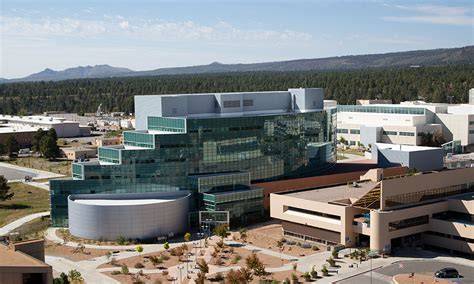 Tritium concentrations in bees and honey at Los Alamos National Laboratory - raincitystudios.com