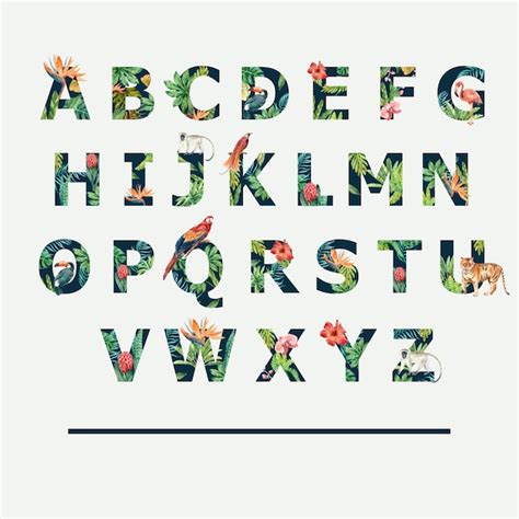 Tropical Alphabet Illustrations & Vectors - Dreamstime - muktibox.com