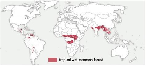 Tropical Deciduous Biome (Monsoon Climate) - raincitystudios.com