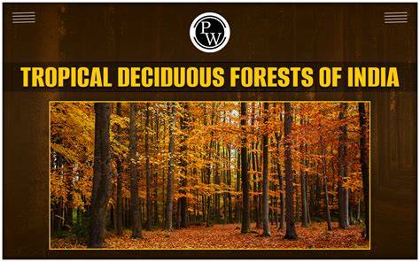 Tropical Deciduous Forests in India UPSC Notes PDF … - raincitystudios.com