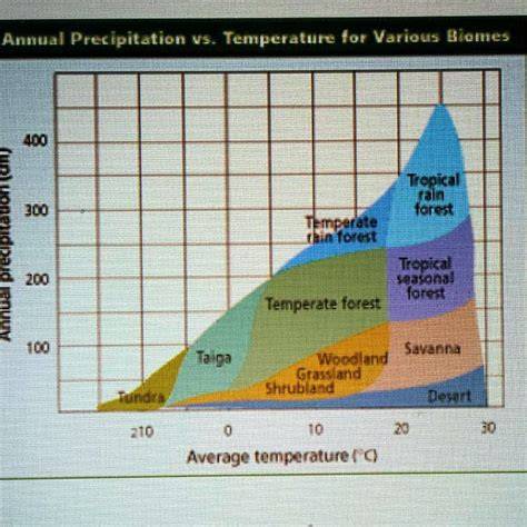 Tropical Forest Formations and Temperature - Avian … - raincitystudios.com