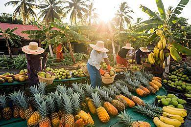 Tropical Fruit Farm Harvest - Lychee, Longan, Rambutan ... - raincitystudios.com