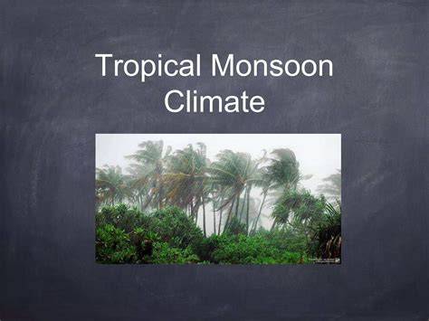 Tropical monsoon climate - raincitystudios.com