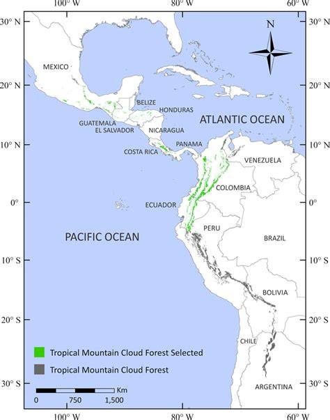 Tropical Montane Cloud Forests - raincitystudios.com