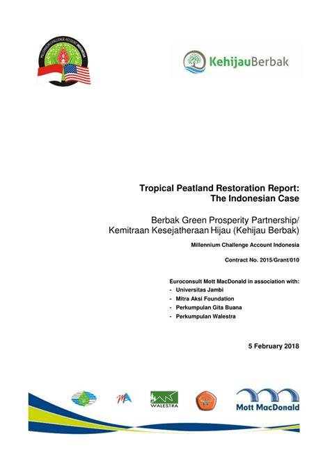 Tropical Peatland Restoration Report: the Indonesian case - raincitystudios.com