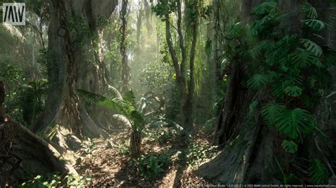 Tropical rainforest - Biodiversity, Ecosystems, Canopy - raincitystudios.com