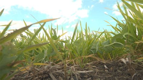 Trump Administration Announces $12 Billion Farmer … - balustradellc