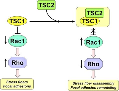 TSC2 - Abstracts - wintechmobiles.com