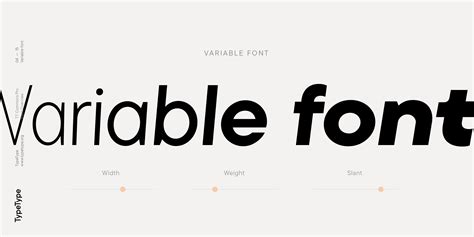 TT Commons Pro Font Fontspring