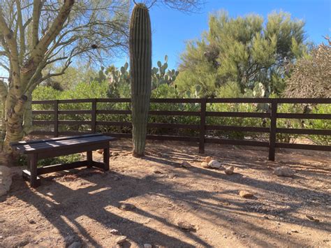 Tucson Glass Fences & Railings | Aquaview Fencing - balustradellc