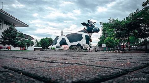 Tugu Sapi Boyolali - muktibox.com