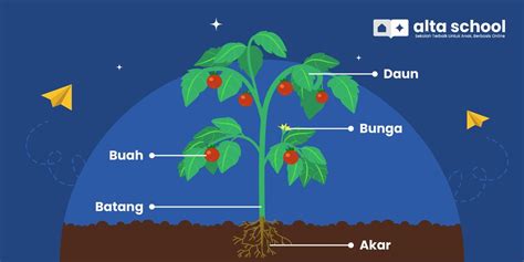 Tumbuhan & hewan di hutan gugur - Ilmu 2026 - Lam Science - muktibox.com