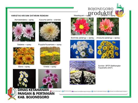 Tumbuhan berbunga - Wikipedia bahasa Indonesia, … - muktibox.com