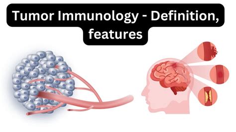 Tumor Biology and Immunology - Institut Curie - muktibox.com