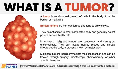 Tumor Biology - ISOBM - muktibox.com