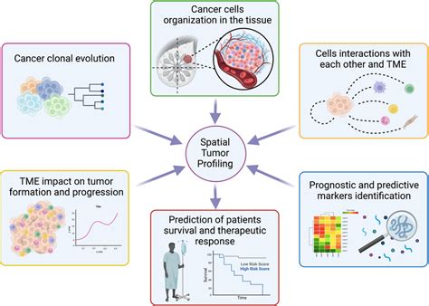 Tumor Profiling | Mission Bio - muktibox.com
