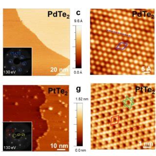 Tunable Magnetic Properties of Monolayer PdTe2 via Adsorption of ... - wintechmobiles.com