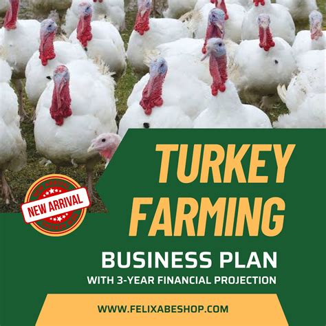 Turkey Farming Business Plan: Cost and Profit Analysis - balustradellc