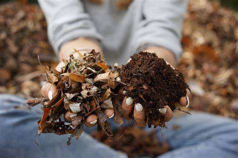 Turn Fall Leaves into Nutrient-Rich Compost for Your … - raincitystudios.com