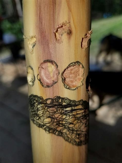 Turning Cedar Trees Into Walking Sticks - Instructables - balustradellc