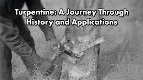 Turpentine: A Journey Through History and Applications - raincitystudios.com