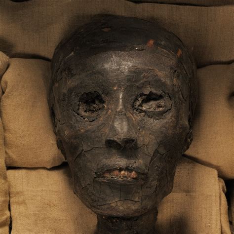 Tutankhamun's mummy - balustradellc
