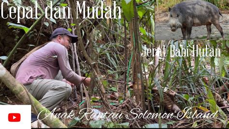 Tutorial, cara memasang jerat babi hutan. - balustradellc