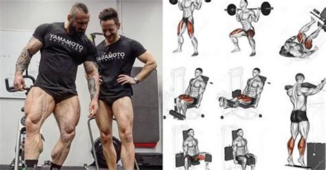 Tutorial Latihan Otot Kaki Leg Day di Gym: Squat + Leg Curl + Leg ... - balustradellc