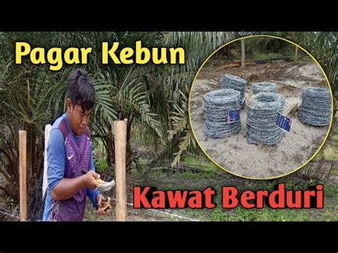 Tutorial Pasang Pagar Kawat Berduri || Perkebunan Malaysia - balustradellc