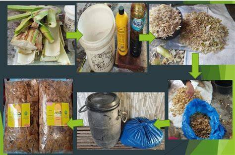 Tutorial Proses Pembuatan Kompos secara … - raincitystudios.com
