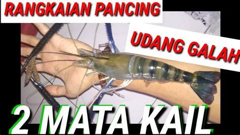 Tutorial Setting Mata Kail Udang Galah Anti Mocel - balustradellc