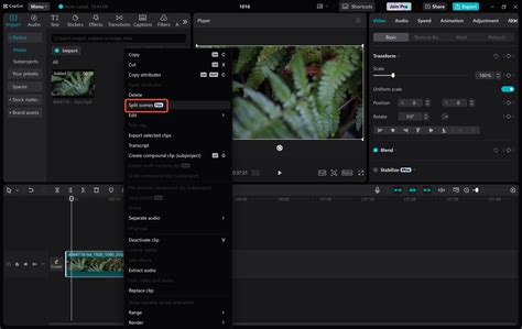 TutorialCapCut untuk Pemula | Panduan Sederhana … - balustradellc