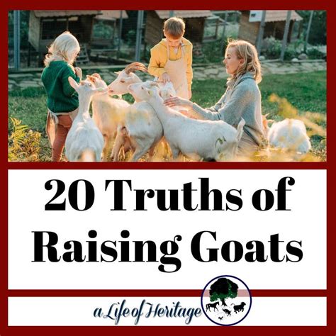 Twenty Truths About Raising Goats - Tennessee Meat Goats - balustradellc