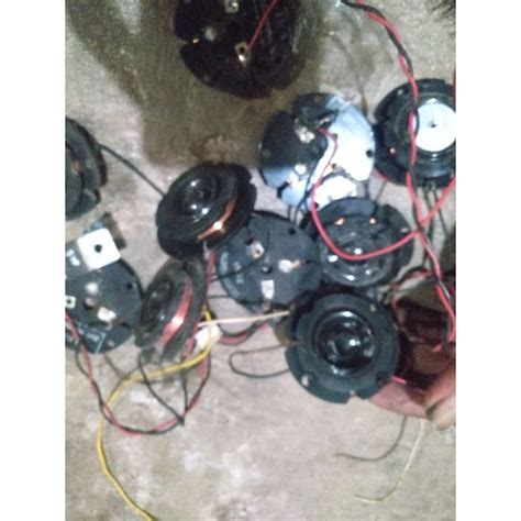 twiter jernih dan empuk politron - Harga & Promo Terbaik | Lazada … - balustradellc