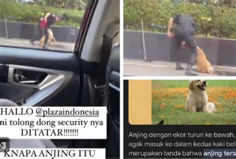 TWITTER COM Nude bugil seleb & vidio milf terbaru edukasi online bugil terbaru buat daily 10 kejernihan maksimal image 1