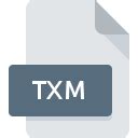 TXM File Extension: What Is It & How To Open It? - Solvusoft