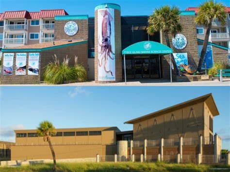 Tybee Island Marine Science Center - Experience Coastal GA - raincitystudios.com